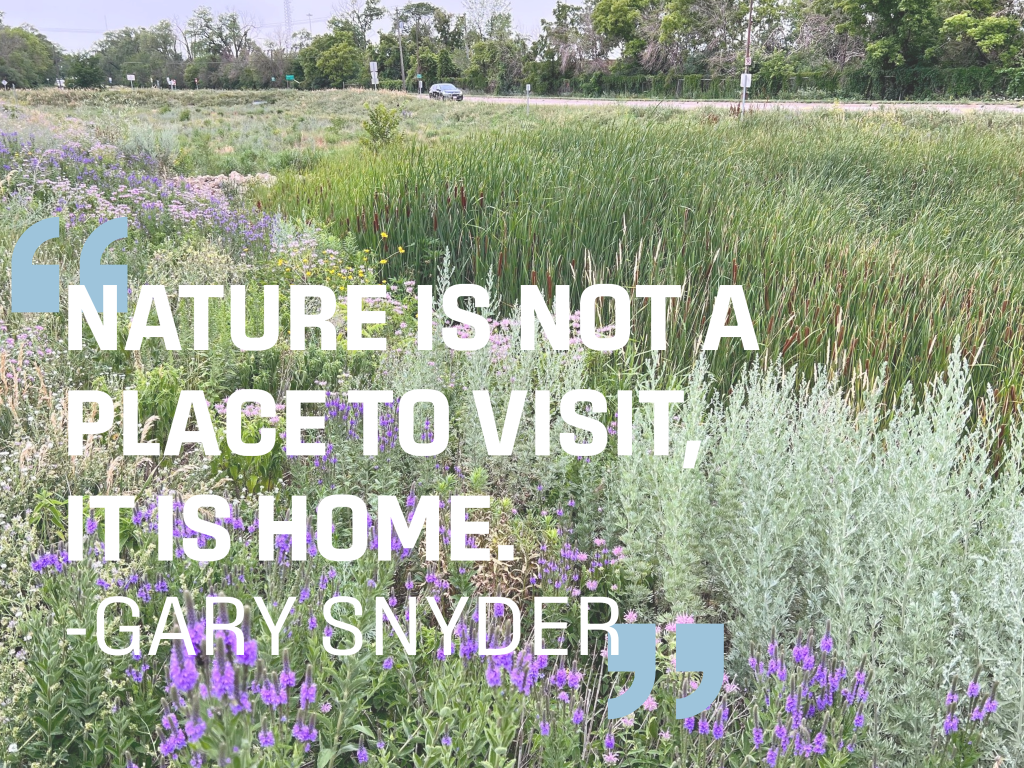 Photo of the Pierce Butler Meadow with the text "Nature is not a place to visit, it is home." _Gary Snyder