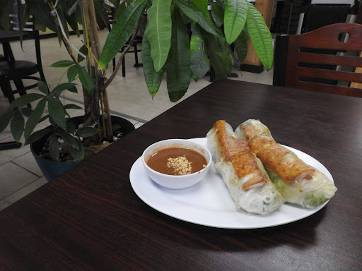 One order of Pho Pasteur’s tofu spring rolls on a plate with sauce